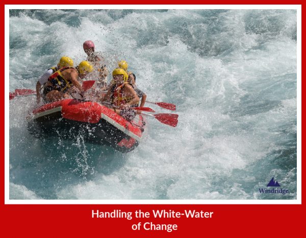 Handling the White-Water of Change - Windridge Consulting